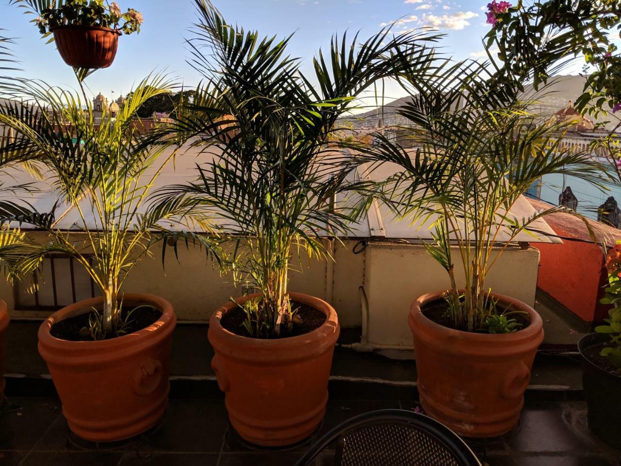 Hostal De Las Americas Oaxaca Exterior photo